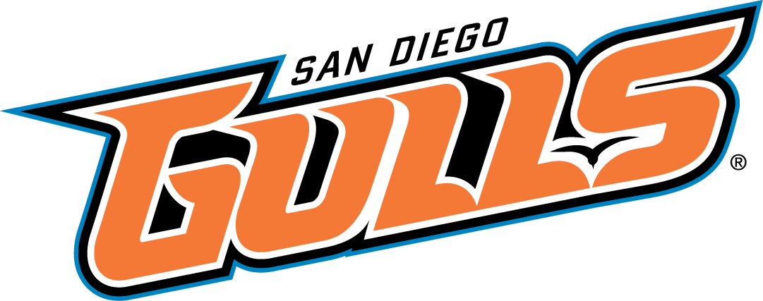 San Diego Gulls 2015-Pres Wordmark Logo iron on transfers for T-shirts